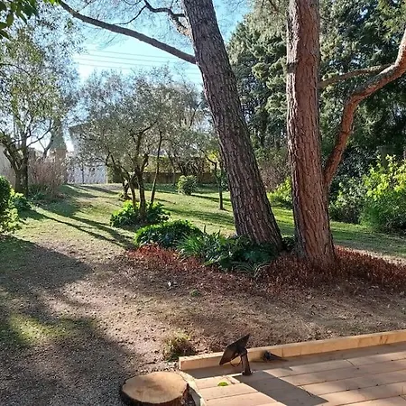 Petite Maison Dans Un écrin De Verdure